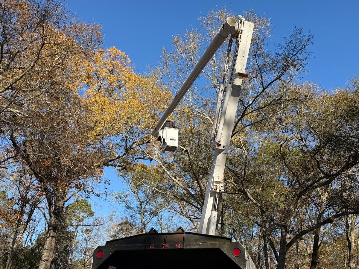 El Costeño Tree Service LLC